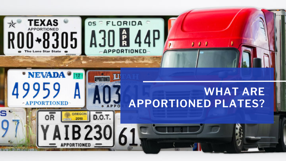 What Are Apportioned Plates